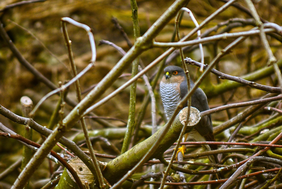 ¡Buenos días! 

Con esta fotografía de Jaime Torre desde Serdio #Cantabria os deseamos #FelizLunes