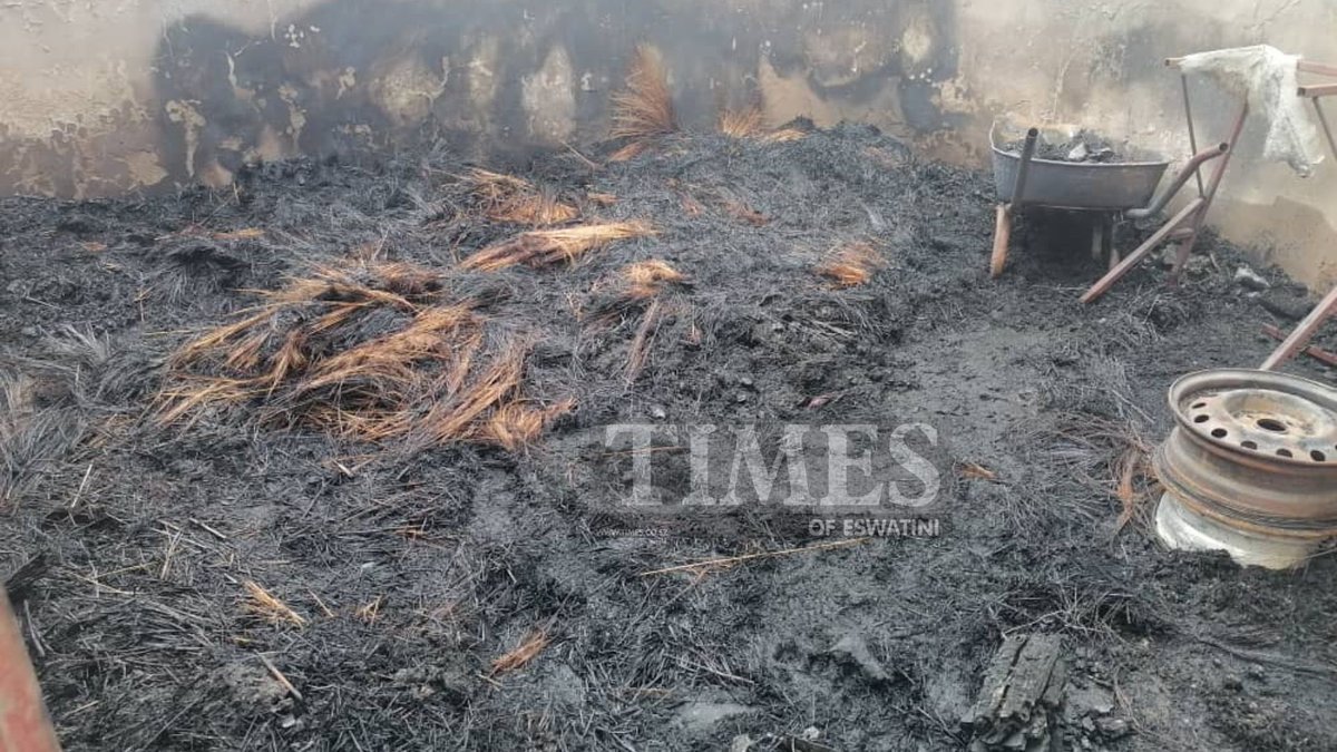 TimesOfEswatinE's tweet photo. ARSON: Nhlulweni Royal Kraal (under LaMgabhi Inkhundla) has been torched by unknown arsonists. The Indvuna, who was inside one of the houses together with an acquaintance, are fighting for their lives in hospital. Our reporters are on the ground to gather more information. https://t.co/yxKaAxtCkF
