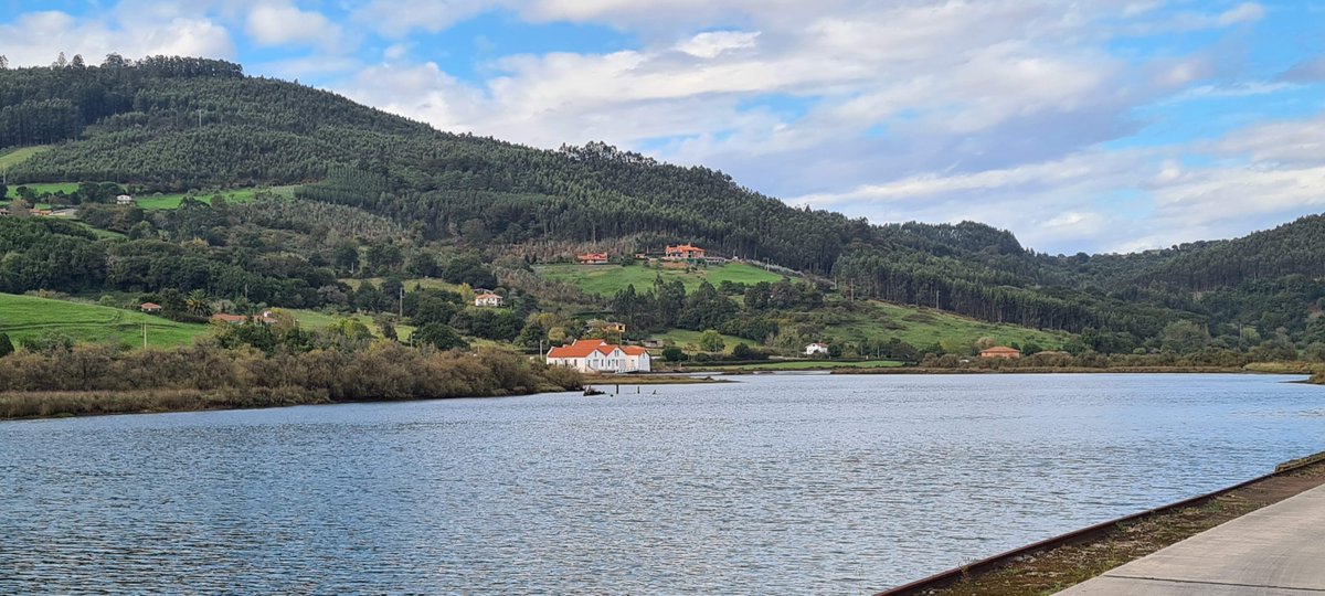 Fundacioncardin's tweet photo. En esta época #Villaviciosa huele a 🍎🍏 , vayas donde vayas y mires a donde mires, hay manzanes, calabaces y castañes, gente #pañando y #mayando . En esta época, somos más @Comarcasidra que en ningún otro momento 😊 @GrupoElGaitero @TurVillaviciosa @TurismoAsturias @AsturturATT https://t.co/yjHSRGxwtF