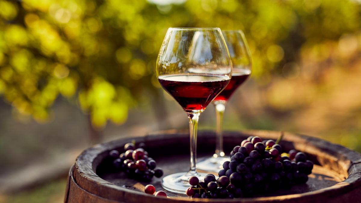 A todos nos gusta el vino, verdad?.
Pero no tenemos en cuenta donde está el inicio de este proceso para que podamos disfrutar de un buen trago. Estos procesos son los servicios ecosistemicos.
¿QUE SON LOS SERVICIOS ECOSISTÉMICOS?
<a href="/CambioSocio/">Cambio Global y Sistemas Socio-Ecológicos</a>
#biodiversidad
#ecosistemas
#CCAAual