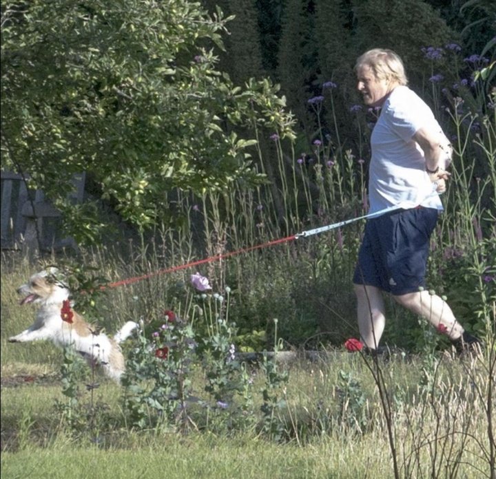 jolly_angelina's tweet photo. @KBGreyhoundlady Maybe #Dilyn needs rescuing from #Boris. Always felt poor Dilyn was acquired as a photo opps prop. Appalling handling + walking methods. He needs training + control on a suitable harness to avoid damage to his larynx. And what's with the stupid hands behind the back technique? https://t.co/VKiwxftXBu
