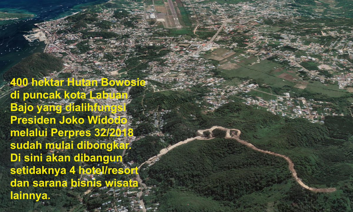 KawanBaikKomodo's tweet photo. 400 hektar #HutanBowosie di puncak kota Labuan Bajo Flores yang dialihfungsi Presiden @jokowi melalui Perpres 32/2018 sudah mulai dibongkar. Di sini akan dibangun setidaknya 4 hotel/resort dan sarana bisnis wisata lainnya. Belum diketahui siapa pemilik perusahaan2 itu. @bpolbf https://t.co/6LRoPrySae