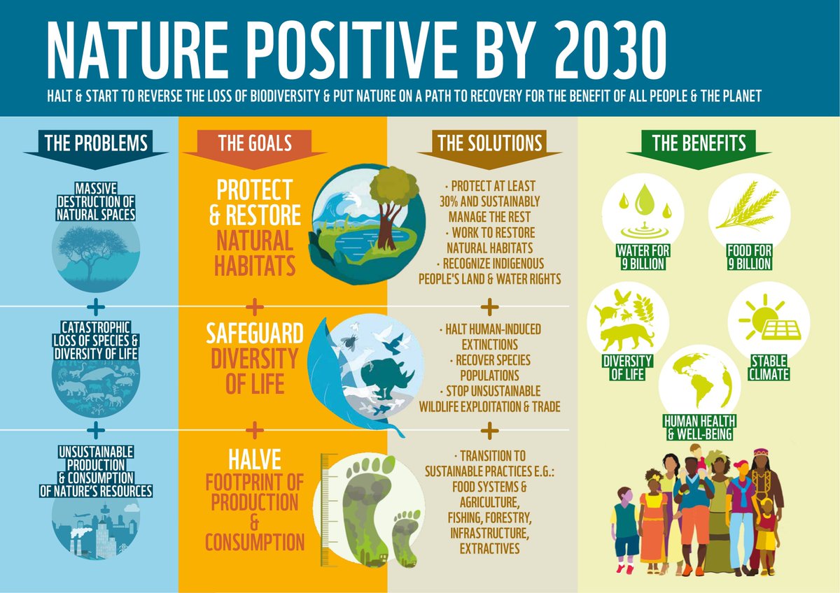 The variety of ecosystems across land, fresh water & oceans, feed people, enhance health & help shield us from environmental disasters.🌪🌊 But #ClimateChange & other pressures are straining these ecosystems.🌡🍄 👇Some solutions offered by @insights_ias #ForNature.