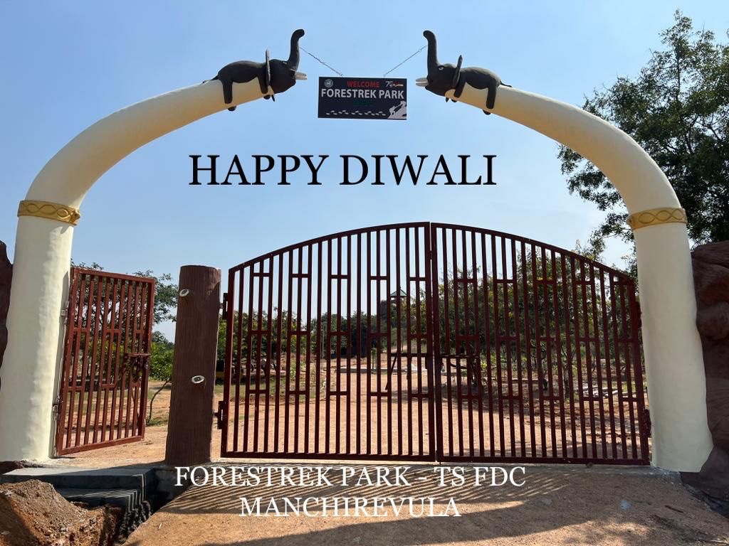 🪔 HAPPY DIWALI 🪔