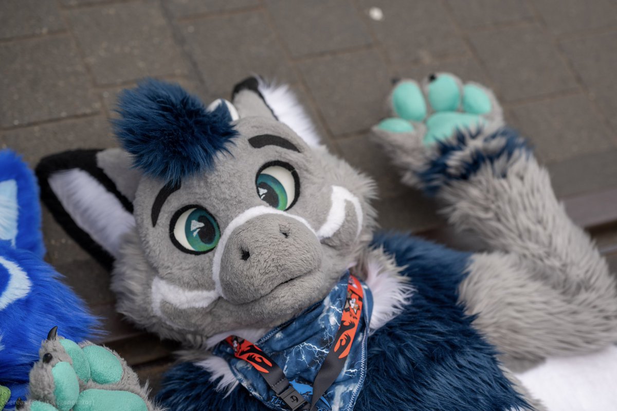 Ryius @NFC🚵♂️ tweet media