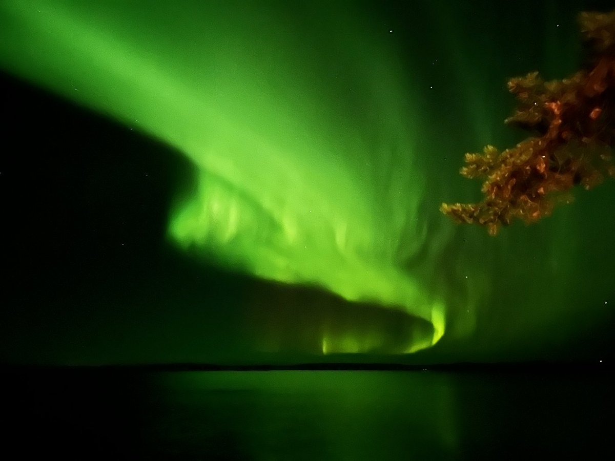 No words or filters needed - view from our cottage window last night. #northernlights #thisisfinland