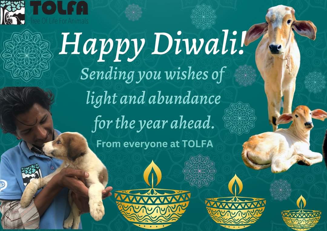 TOLFA Tree Of Life For Animals (@TOLFAcharity) / Twitter TOLFA Tree Of Life For Animals (@TOLFAcharity) / Twitter