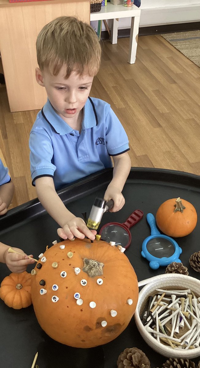 JESSjumeirahFS1's tweet photo. We have been developing our fine motor skills with pumpkins, a hammer and golf tees today! Look at our high levels of concentration🎃🔨 #JESSJumlearning #JESSJumeirah #EYFS https://t.co/DNtJH4JDj5