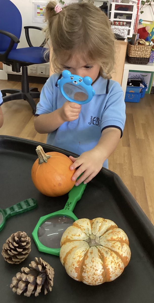 JESSjumeirahFS1's tweet photo. We have been developing our fine motor skills with pumpkins, a hammer and golf tees today! Look at our high levels of concentration🎃🔨 #JESSJumlearning #JESSJumeirah #EYFS https://t.co/DNtJH4JDj5