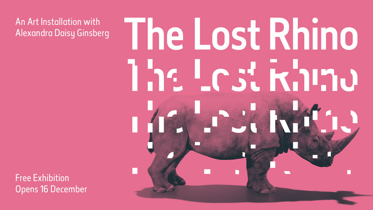 Today we're delighted to announce our new exhibition #TheLostRhino: An Art Installation with @alexandradaisy. Explore our complex relationship with rhinos and come face-to-face with extinction in this free emotive exhibition. Opens 16 December 🔗 nhmlondon.org/The-Lost-Rhino