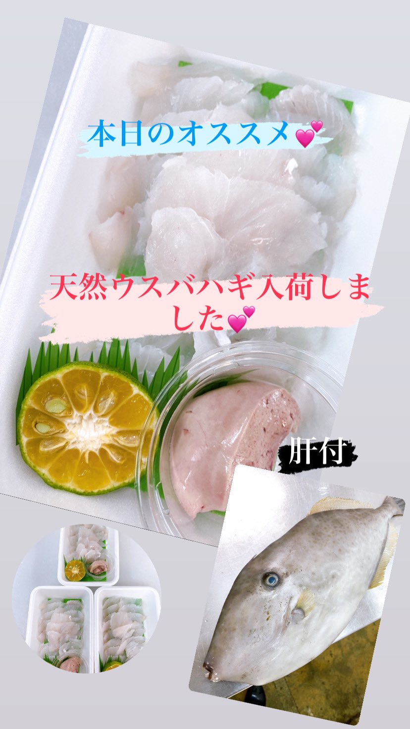 カワハギ好き Twitter Search Twitter
