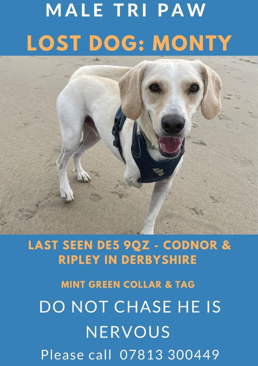Laura_Slats's tweet photo. Please, please share and get Monty back home with his family #getmontyhome #DE5 https://t.co/XzQYPYpxSG