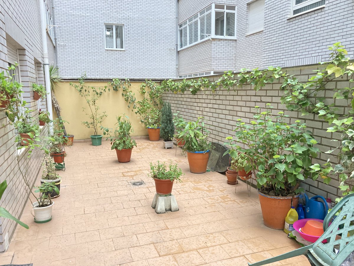 InmoCoaching's tweet image. Se vende piso en Paseo Salamanca de casi cien metros con dos terrazas, una de ellas es un patio de 32 metros. Cuatro dormitorios y dos baños. Con garaje y trastero. Si te interesa, contacta con nosotros ---&amp;gt; inmocoachingleon.com/htmlphp/propin…