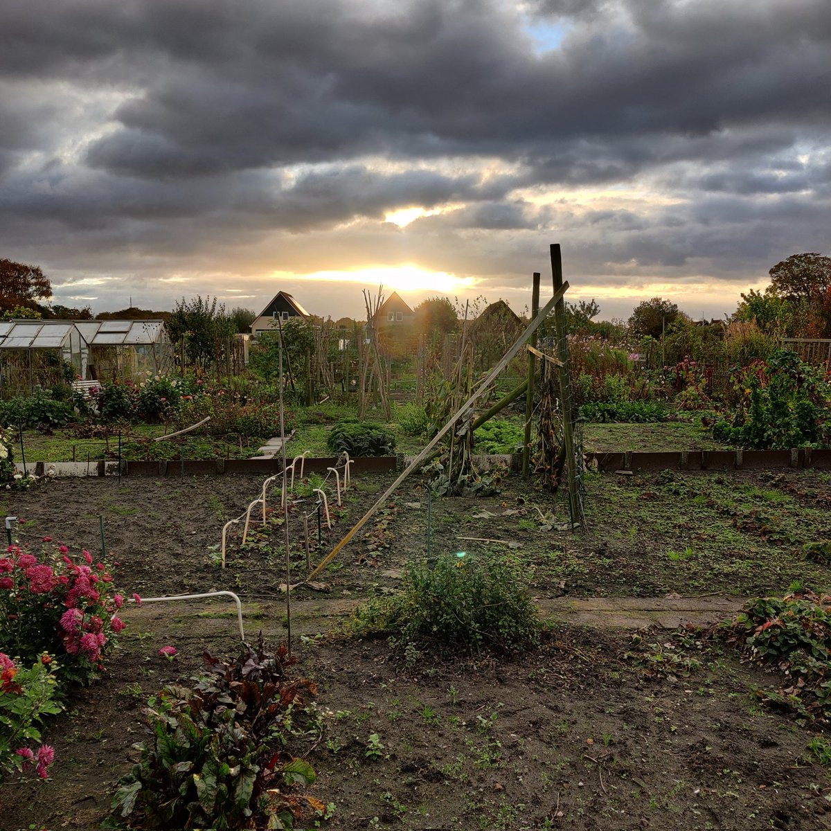 Zo mooi was het in de tuin vanochtend, heerlijk.