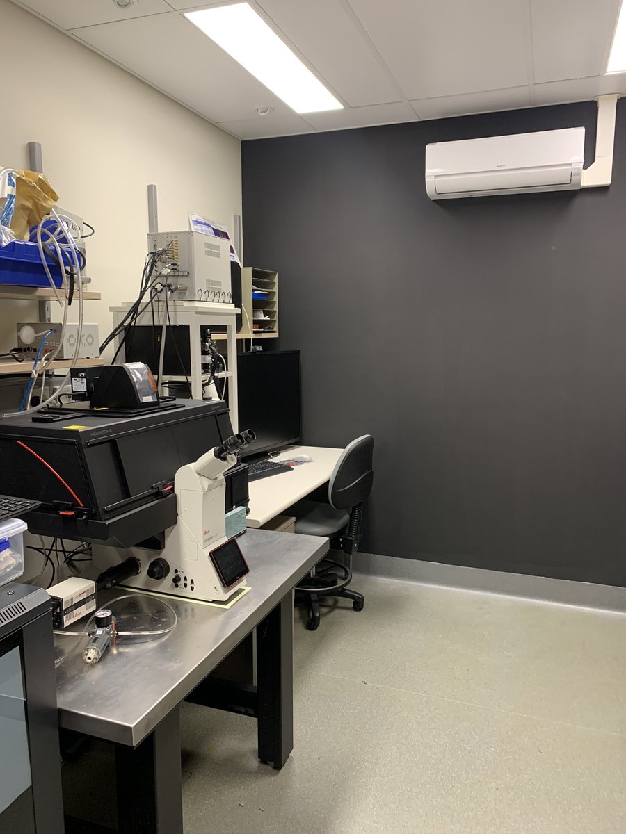 NeuroStemLab's tweet photo. Came back from leave to find the #microscopy room wall painted black (to reduce screen glare), nice! St. Vincent’s AMR #LiveimagingFacility @LeicaMicro #Thunderimager https://t.co/bzG6Pn3pba