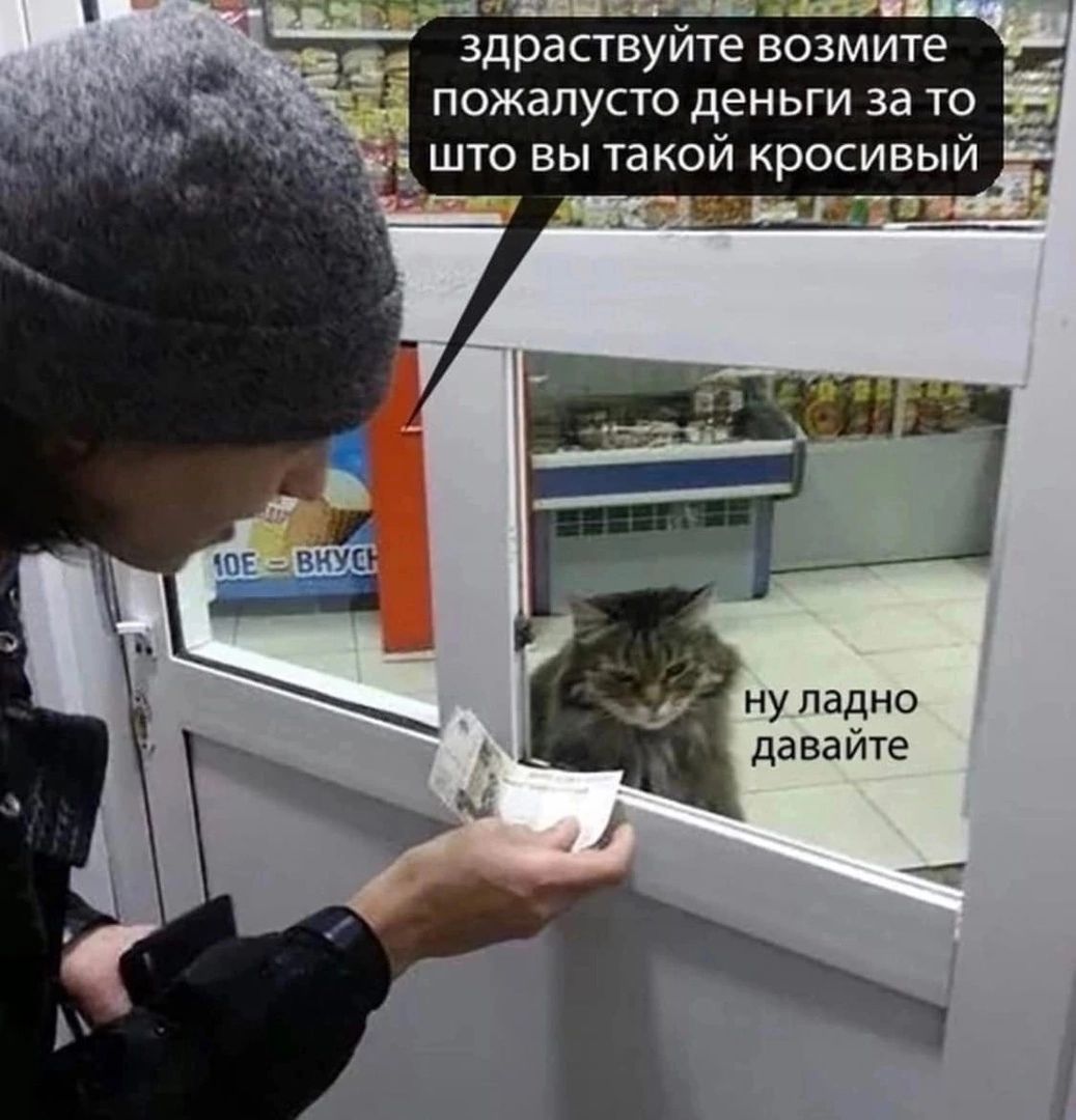 Кем ты хочешь стать, когда вырастешь?

Все: космонавт, моряк, программист, актёр...

Я: