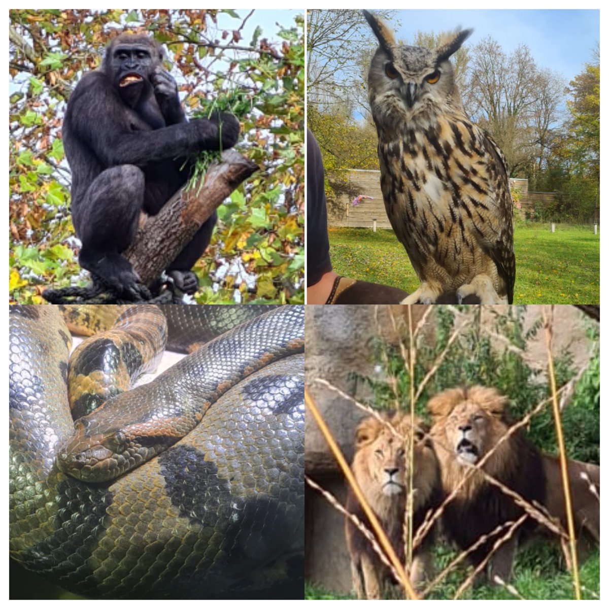 Danke allen die gestern einen schönen Tag im Münchner Zoo wünschten