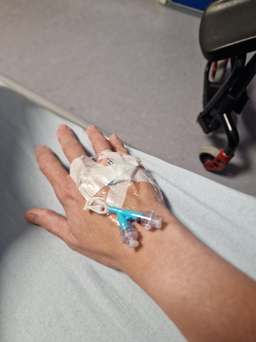 Lexi Alyx Chambers 🏳️‍🌈🇬🇧 tweet media