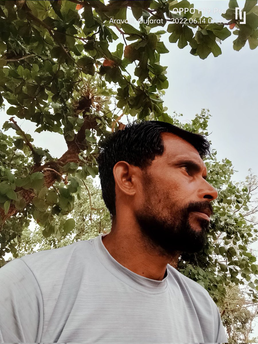 Hope you have a memorable Diwali and let the celebrations bring in joys that never end.
Shubh Diwali