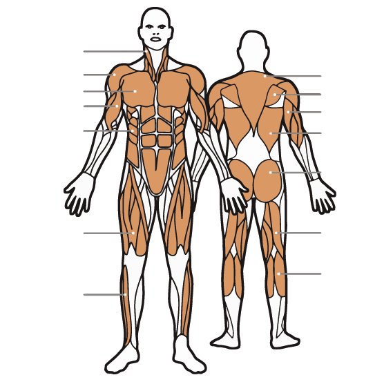 Zeph Bennett tweet media