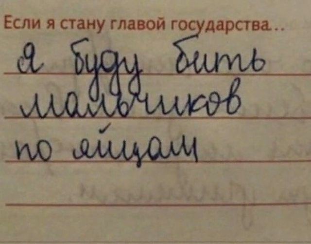 Скриньте, моя предвыборная программа, когда я отучусь на международных отношениях: