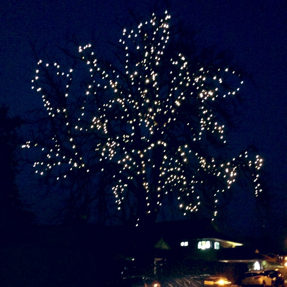 Ivan Gonzalez tweet media