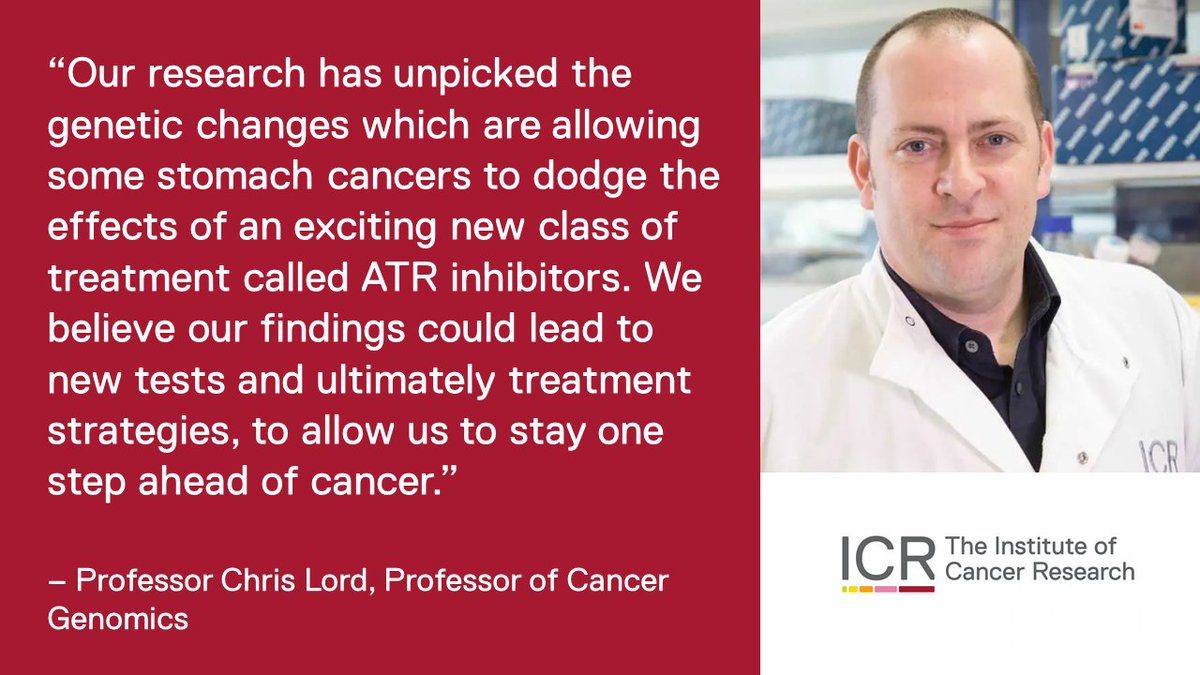 💊NEWS: New research reveals how #StomachCancer can develop resistance to ATR inhibitors, a promising new class of drugs. 📄The study is published in @cr_aacr and was funded by @cr_uk. Find out more: icr.ac.uk/news-archive/s…