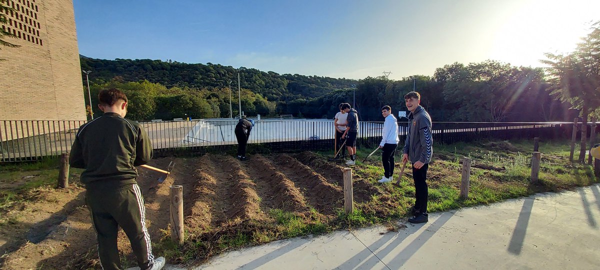 Els alumnes de 4 C estan amb el projecte de l'hort.