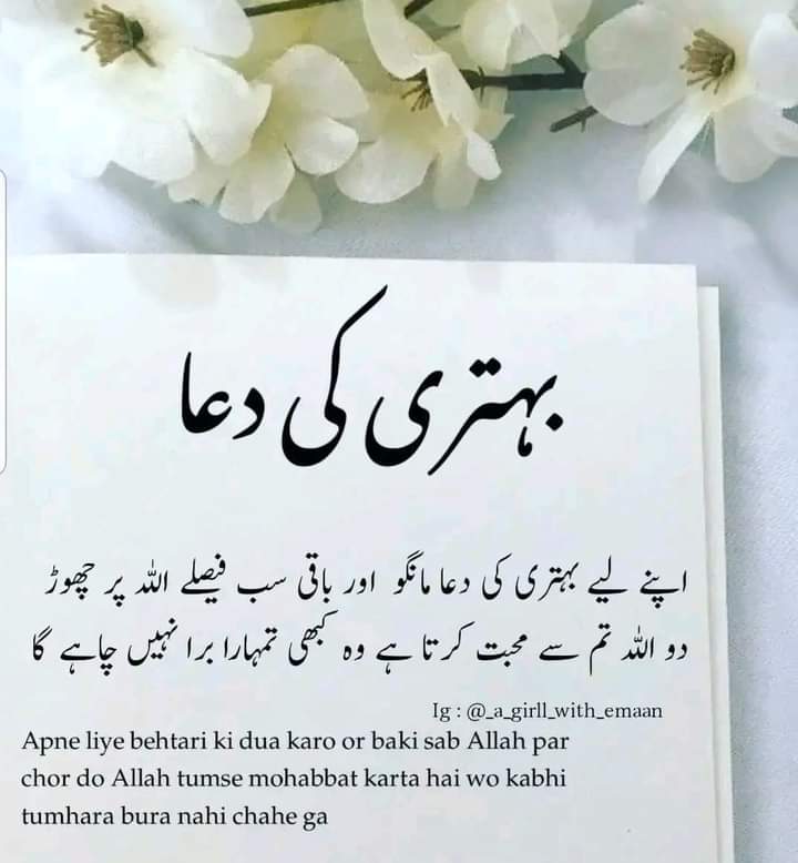 Kashif Ali (@kashifa58343591) on Twitter photo 
