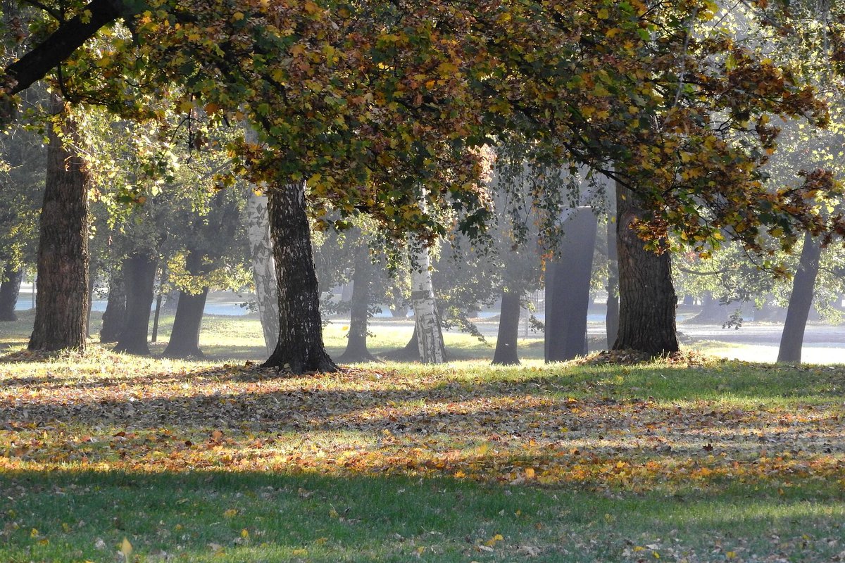 lookforplace's tweet photo. #Autumn #Park #Ceske #Budejovice #South #Bohemia #Czech #Republic https://t.co/R32rOhINtk