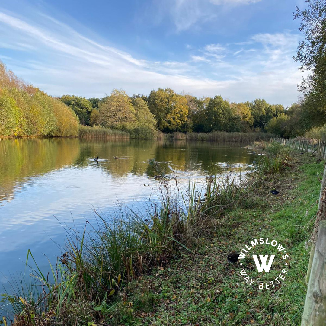 WilmslowsWB's tweet photo. With the sun setting earlier why not pay a visit to the Carrs park for a lovely evening walk to watch the sunset!☀️

#wilmslow #walks https://t.co/ngYn6q812t