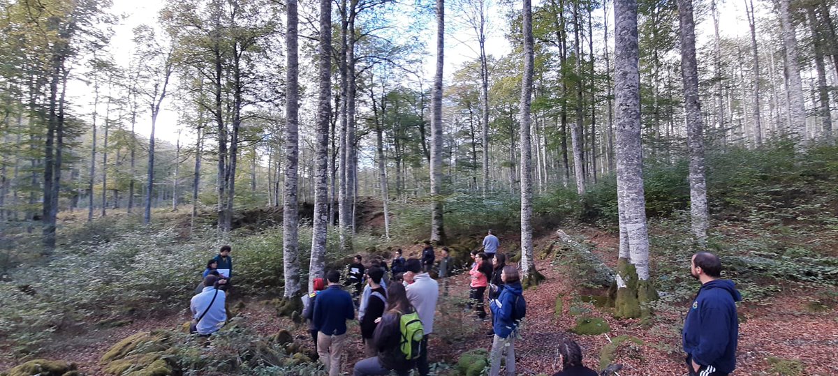 SoniaRoigGomez's tweet photo. Empezamos la visita en el monte de Aralar, en desarrollo la 6revision de su Proy Ordenación con #NatiGomez #Basartea Gestión de hayedos en masa regular Vaya día y vaya laboratorios en @MontesUPM @La_UPM https://t.co/TjIOMlboM2