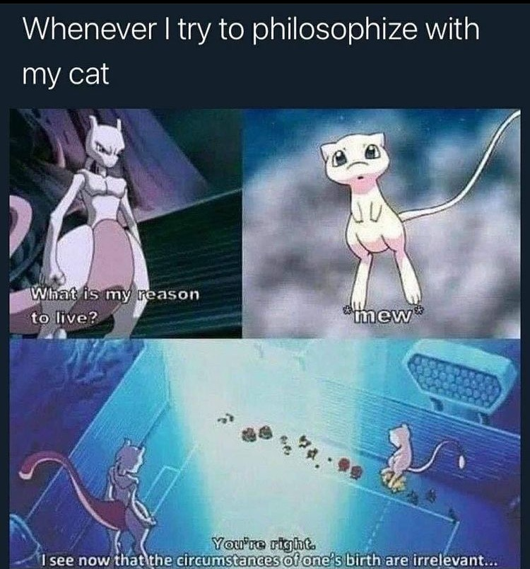 angycryptogirlx's tweet photo. @OldMemeArchive https://t.co/IctybN74es