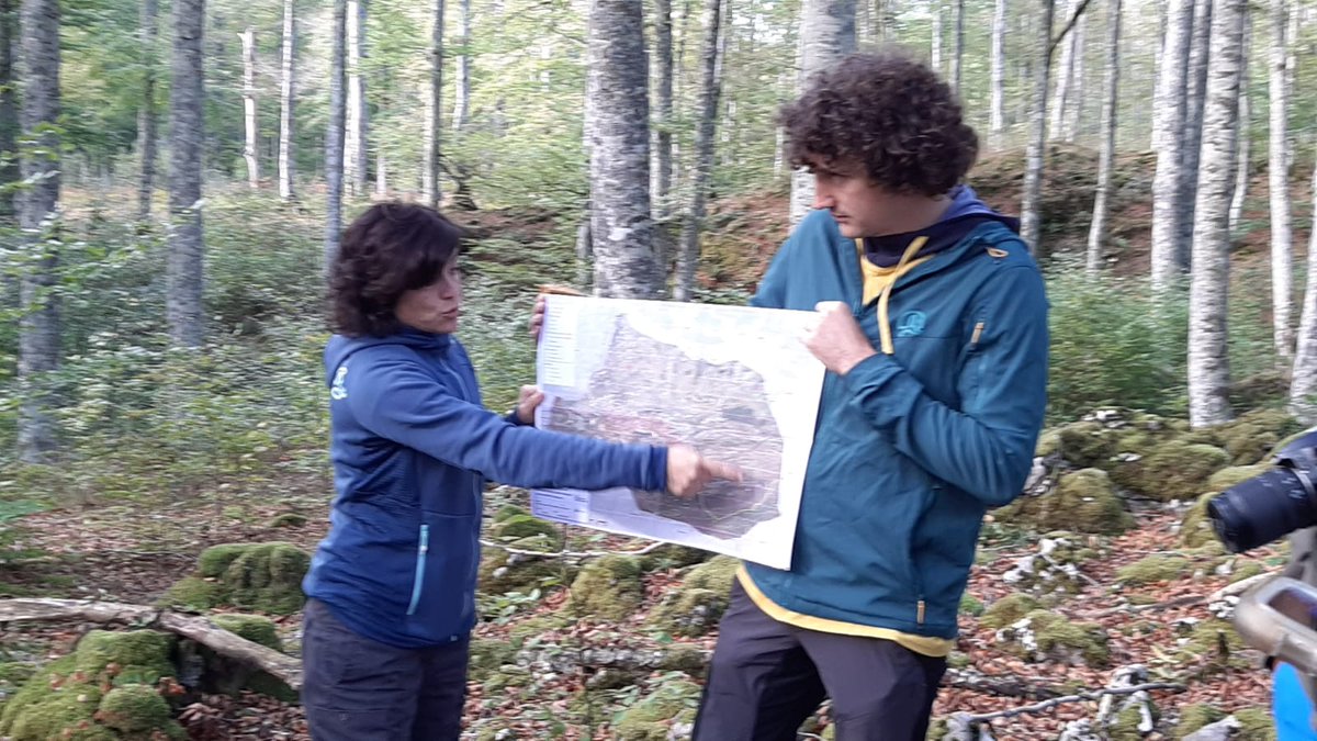 SoniaRoigGomez's tweet photo. Empezamos la visita en el monte de Aralar, en desarrollo la 6revision de su Proy Ordenación con #NatiGomez #Basartea Gestión de hayedos en masa regular Vaya día y vaya laboratorios en @MontesUPM @La_UPM https://t.co/TjIOMlboM2