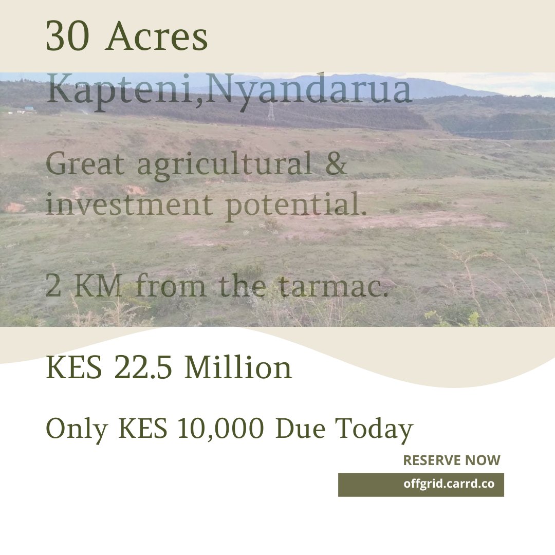 OffGrid254's tweet photo. 30 Acres Kapteni,Nyandarua Kenya

Great agricultural &amp; investment potential.

2 KM from the tarmac.

Price: KES 22.5 Million 
Only KES 10,000 Due Today. Reserve Now. LinkinBio 
#OffGrid #LandDeals Senator Munoko | Winnie Odinga Murife Andrew Tate Pakistani #AllThingsGodSpeed https://t.co/Dajz8sjvSK