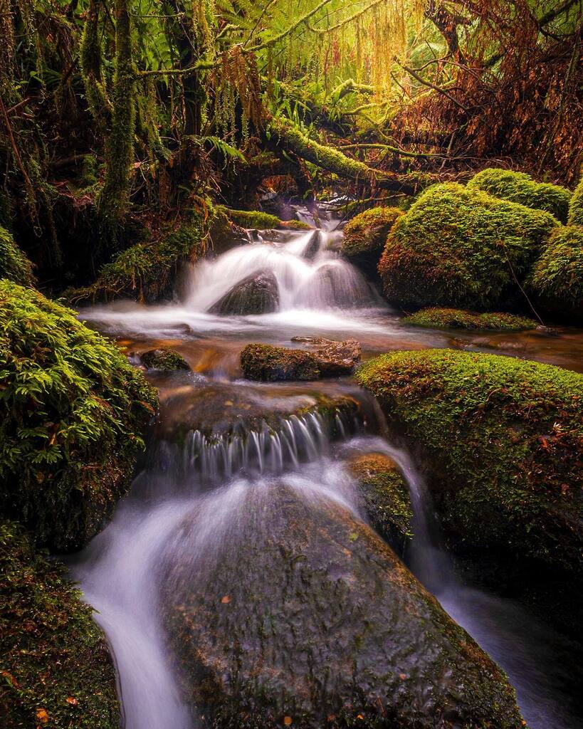 ilia_m's tweet photo. Lush Waterfalls
-
This is a gem in all its glory! Love this little waterfall! 
.
.
.
.
 #longexposure #longexposure_shots #nightphotography #ic_longexpo #global_hotshotz #longexpohunter #magicpict #night_shooterz #dream_image #instagood #keepitwild #wand… https://t.co/MkpurbMv42 https://t.co/OdJ7H8Ucno