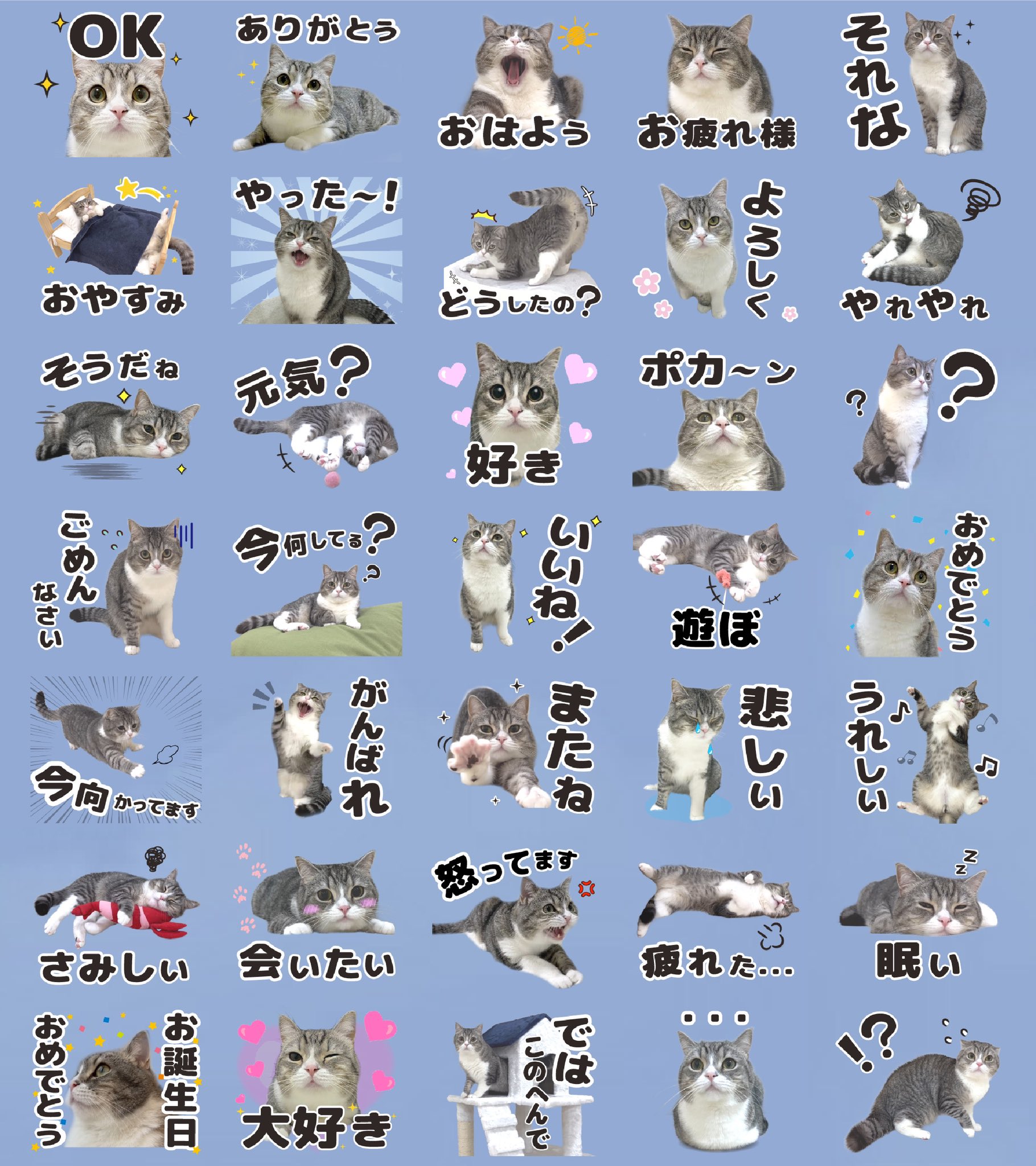 ともち様❤︎