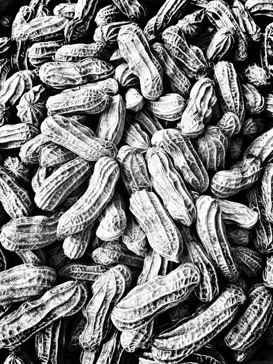 boomhkg's tweet photo. #0075 Peanuts。

Follow our Instagram 
https://t.co/vkyLXV0euj

Available on Opensea.
https://t.co/exAGIFtkkn

#opensea #nft #nfts #NFTCommumitoy

Patterns with Black and White。Boom your mind 1 pattern at a time。 https://t.co/kSiOMzGX1m