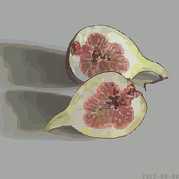 「無花果… 」|junkumaのイラスト