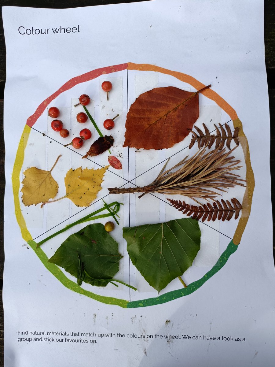 SensoryTrust's tweet photo. Can you visit the woods this week? Exeter @DeafAcademy felt the benefits of the woods @ForestryEngland Haldon Forest. Breathing in those phytoncides improves mental and physical health! And learning some new #BSL signs for trees #LanguageofNature @HeritageFundUK https://t.co/iv5D6rGHhk