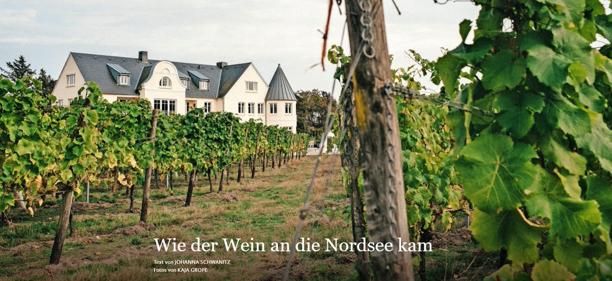 pkrohn1's tweet photo. Aus Ideen wurden Reben

Kurz profitiert Föhr vom Klimawandel. Insel-Wein. Dann sieht es trist aus: "Auch wir sind vom Aussterben bedroht. Wenn der Meeresspiegel weiter steigt, wird’s hier eng für uns."
@jo_schwanitz Kaja Grope @faznet #Fotografenloben
https://t.co/kbEYdHaOO1 https://t.co/D2SLvBDvgs