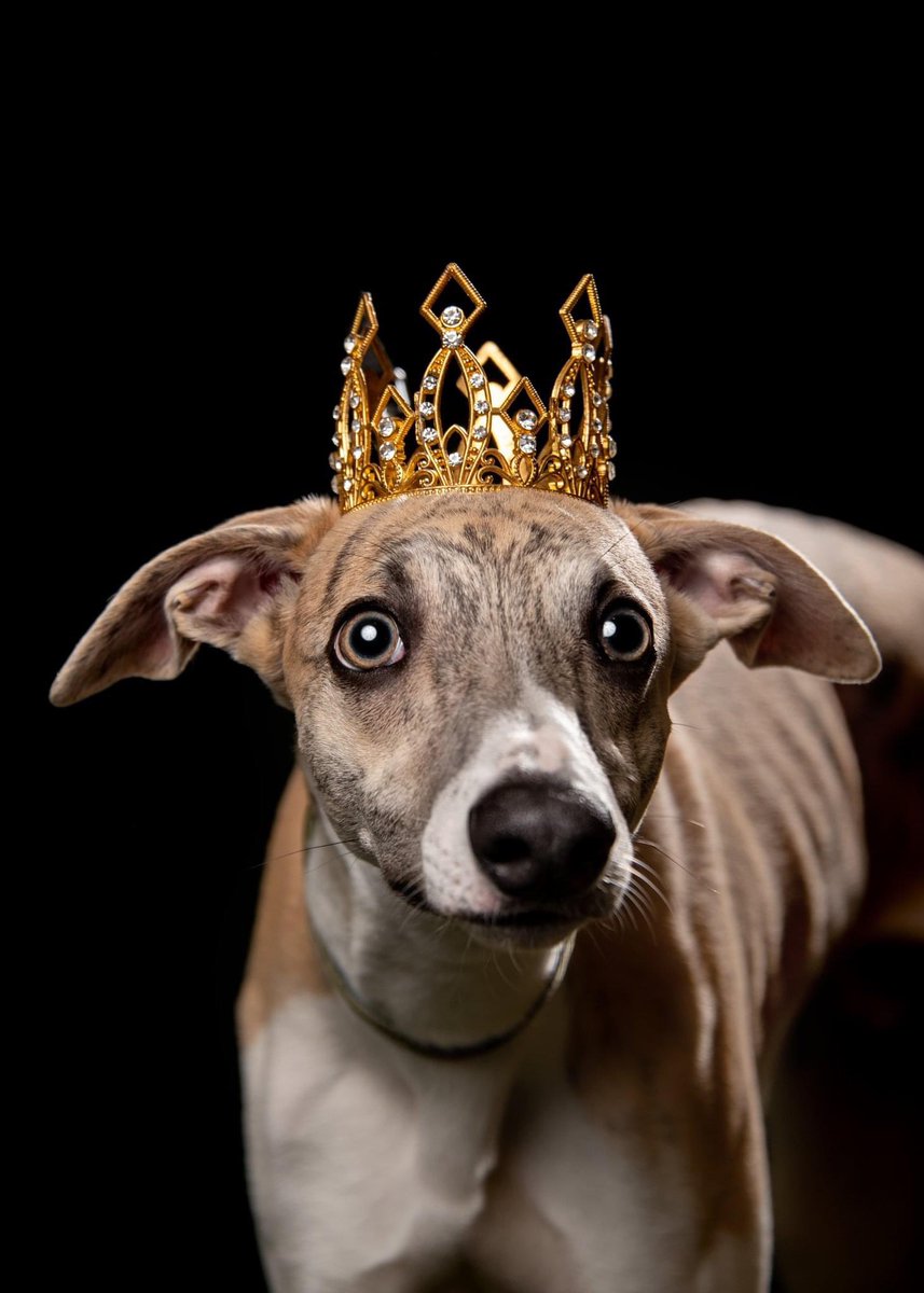 bluesoup tweet media