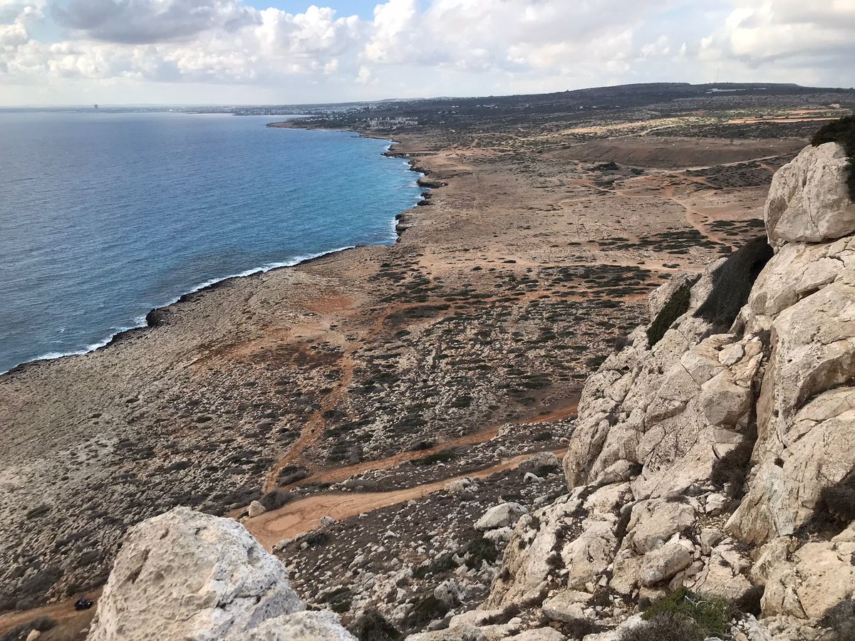 Dr. Lucy Blue tweet media