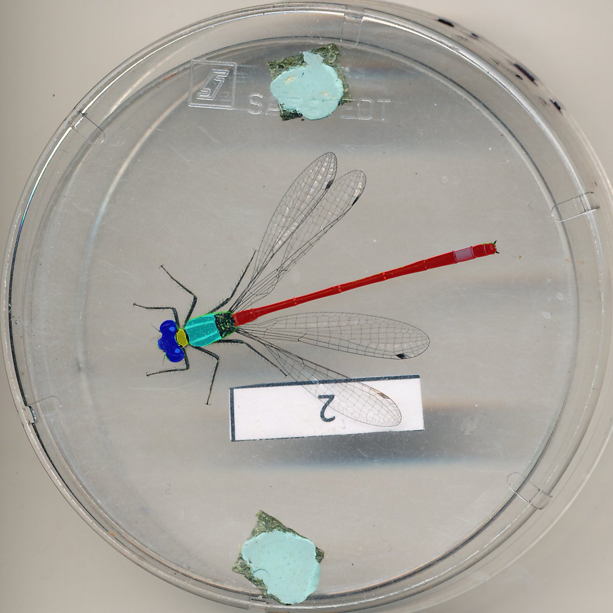 Moritz Lürig tweet media
