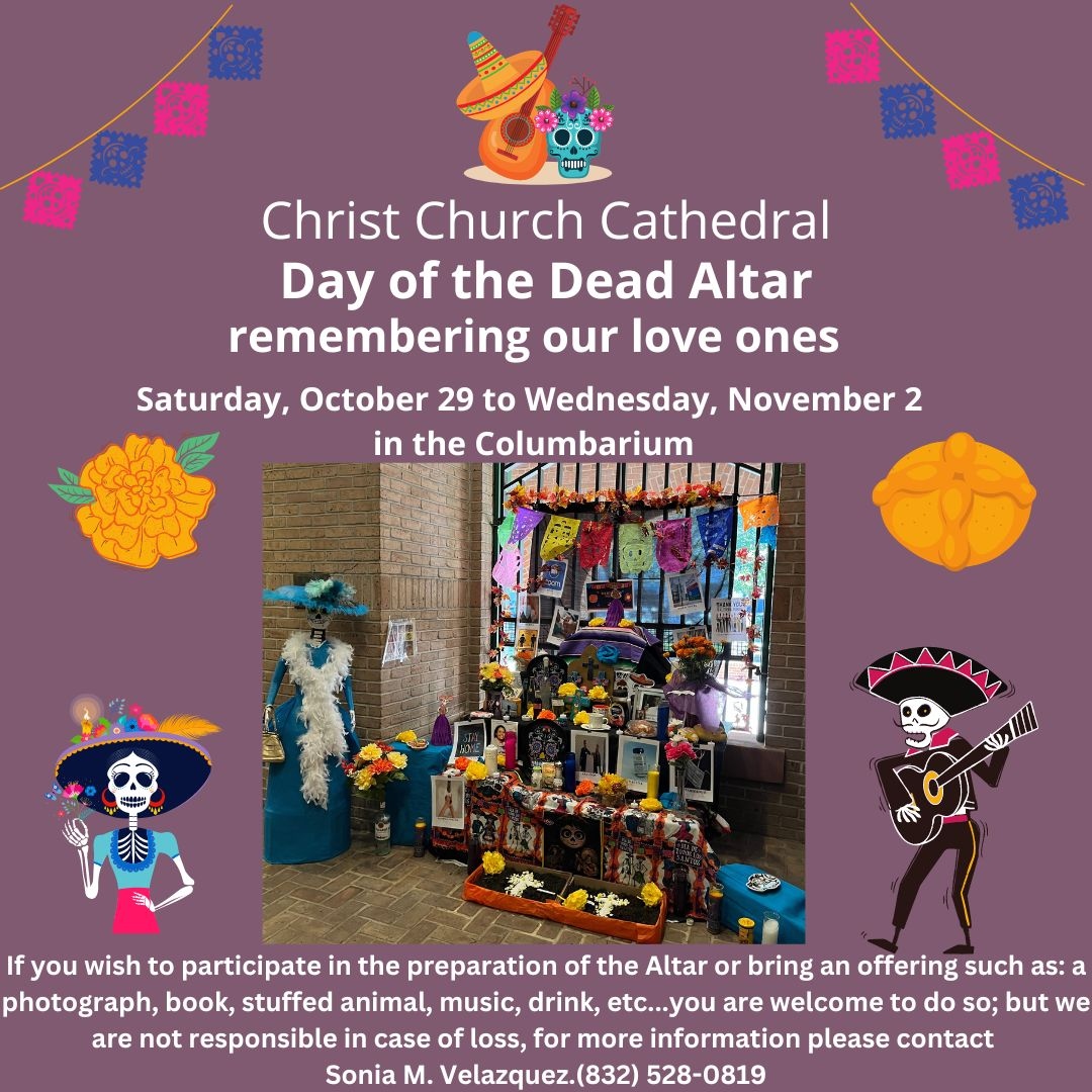 Christ Church tweet media