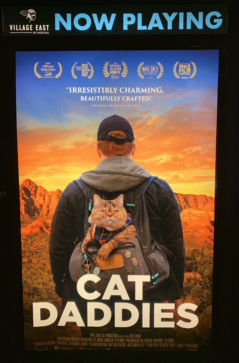 MLeeNYCx's tweet photo. Good to know about @CurtisSliwa #AnimalShow talks 🐾 I wish @NYCMayor cared more about animals‼️Maybe they can see @CatDaddiesMovie together 🐈⬛ Curtis is true #CatDaddy❤️ https://t.co/loKpsU2MvO