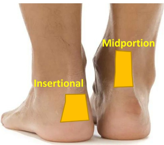 Physio Meets Science tweet media