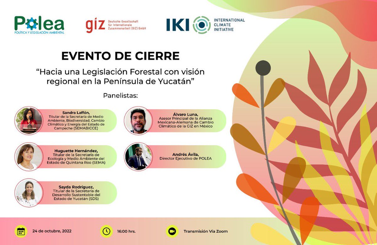 PoleaAC's tweet photo. 🔴 ¡HOY!

@PoleaAC, @GIZMexico e @IKI_Mexico invitan al Evento de Cierre “Hacia la Legislación Forestal con visión regional en la Península de Yucatán”🌳

🗓 Lunes 24 de octubre.
🕔 16 hrs.
👉💻 REGISTRO: https://t.co/uYdvGaPMsr

@semaqroo @SDSYucatan @SEMABICCE https://t.co/Mxu65vgHKA