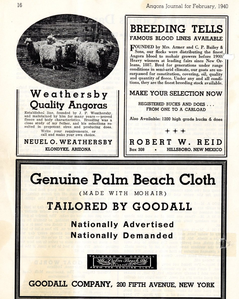 University of Arizona Libraries on Twitter ""Angora Goats," bred by