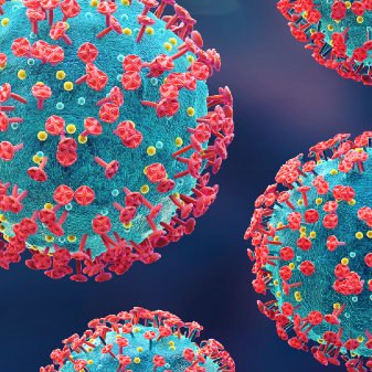 MPaT_PHCL_UMN's tweet image. Laboratory of Structural Biology of Disease led by Fang Li, PhD has published a new paper in PNAS, which offers evidence for possible animal origin of the COVID-19 omicron variant. 
med.umn.edu/news-events/re…